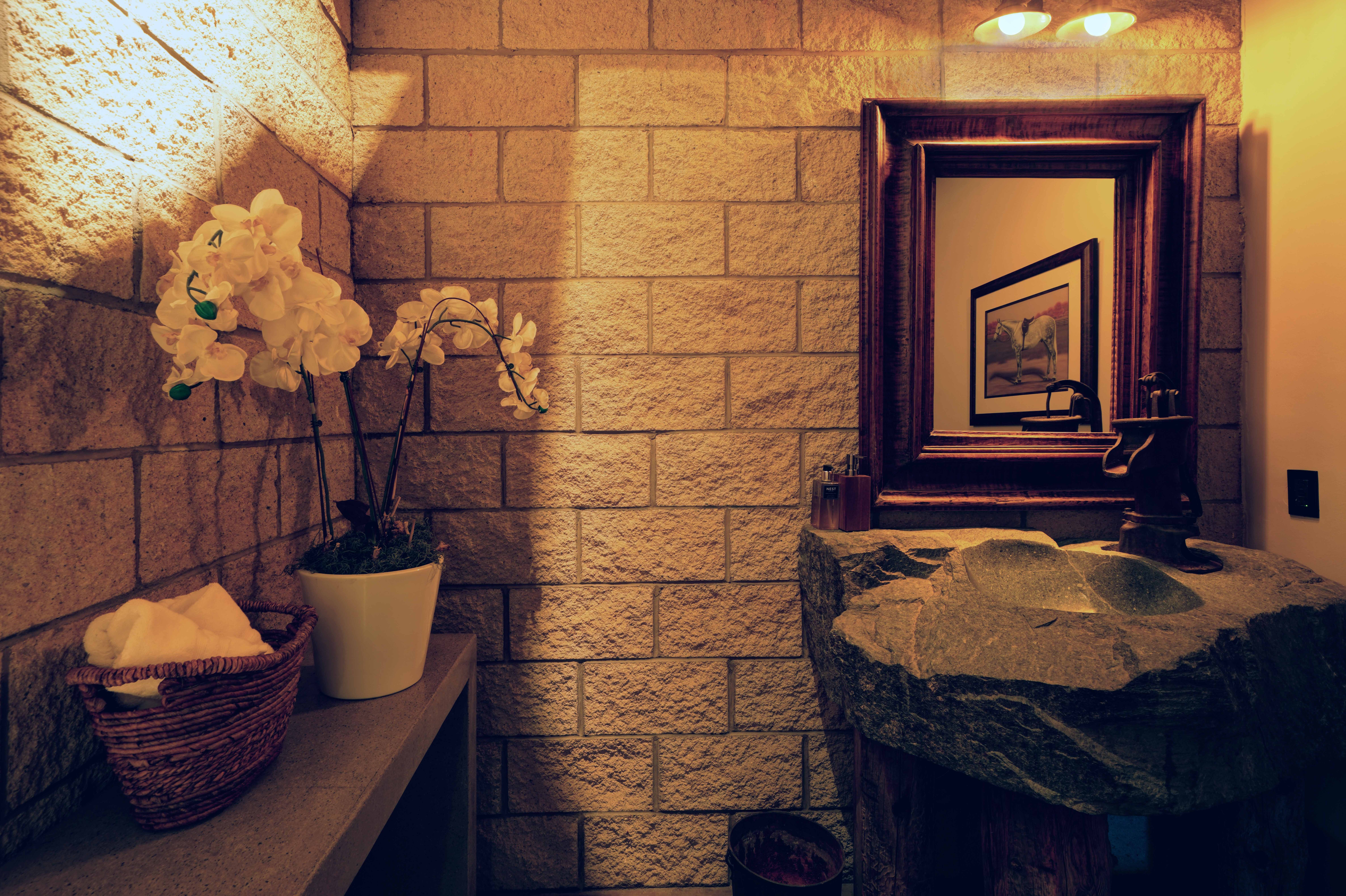 Powder room with stone vessel sink